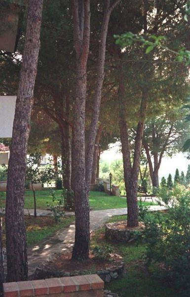 Villaggio Pineta Petto Bianco Capo Vaticano Bagian luar foto