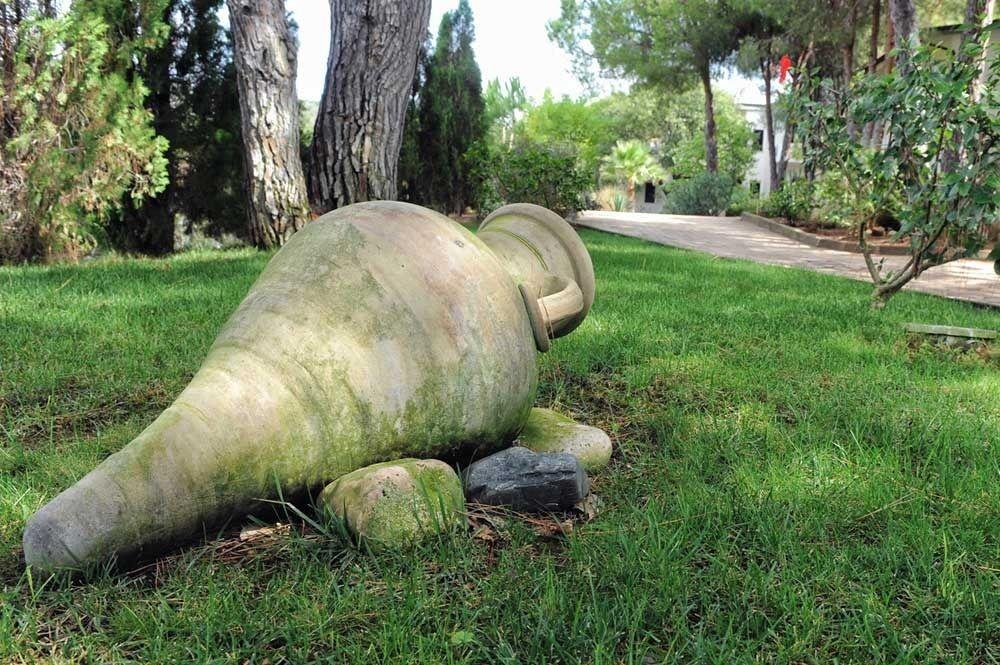 Villaggio Pineta Petto Bianco Capo Vaticano Bagian luar foto